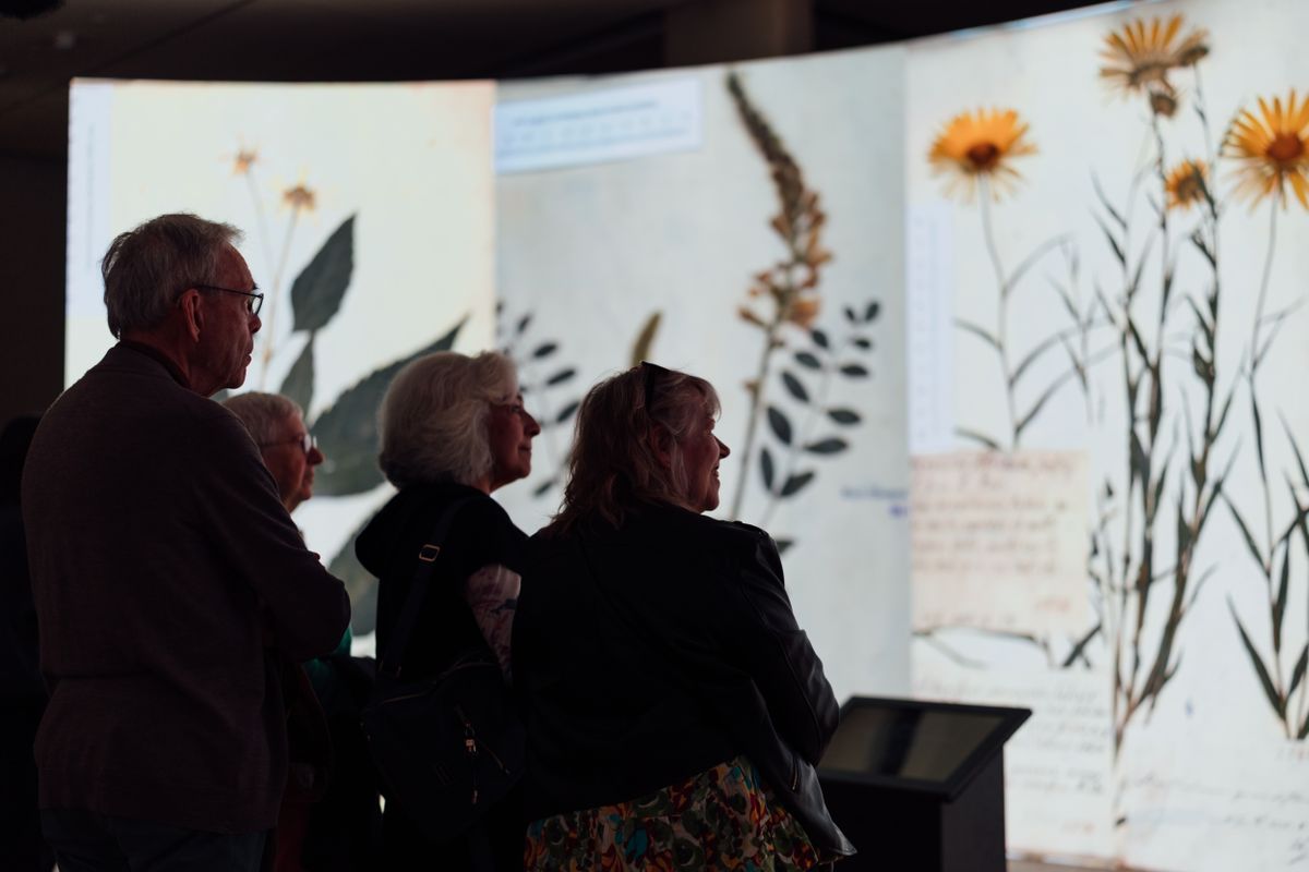 Refik Anadol: Archive Dreaming in the White Box