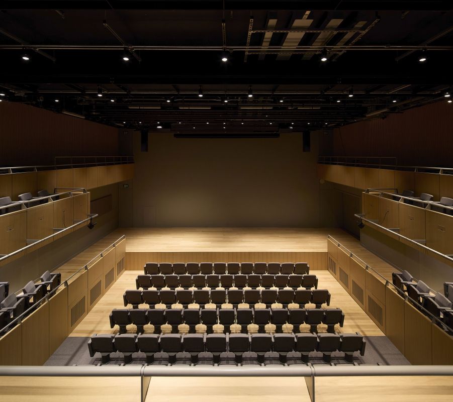 Theatre, Stephen A. Schwarzman Centre for the Humanities.